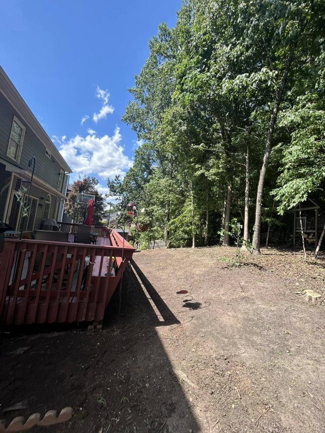 A cleared backyard with a visible tree stump after tree removal by Sergeant tree service in Atlanta, GA