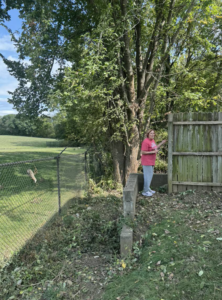 A residential property showing cleared brush and debris on the ground after tree service work by Hunters Lawn Care & Tree Service in St. Joseph, MO.