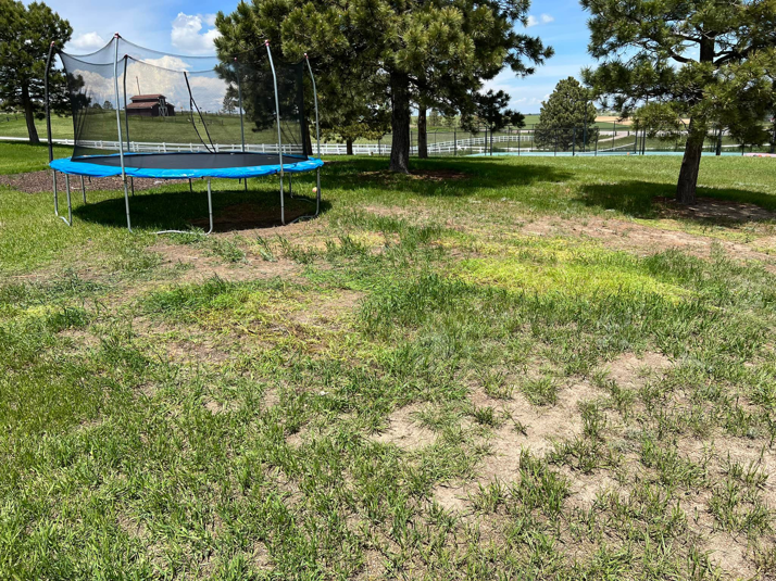 A clean, grassy yard with a trampoline, showing the successful junk removal service by Mile High Junk in Aurora, CO.