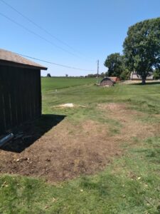 A cleared patch of ground where a tree or stump was removed by Grand Island Tree Service in Grand Island, NE.