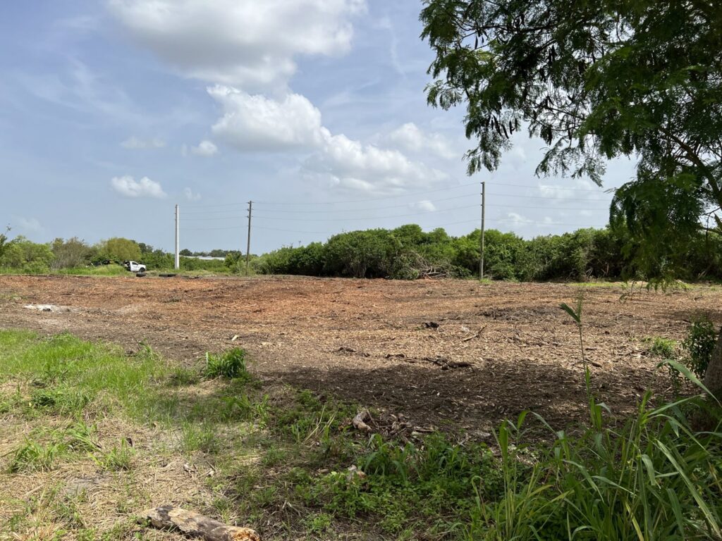 A cleared plot of land showing tire tracks from heavy machinery next to a wooden fence, indicating site preparation work by DLT Land Management in Tampa, FL.