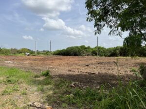A cleared plot of land showing tire tracks from heavy machinery next to a wooden fence, indicating site preparation work by DLT Land Management in Tampa, FL.