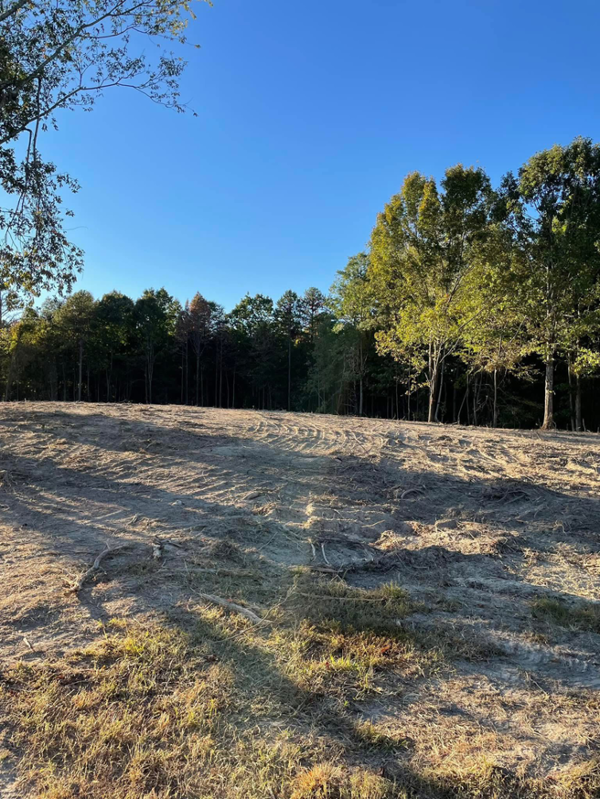 A newly cleared lot, showcasing professional land clearing services provided by Wallace Tree Service in Russellville, AL.