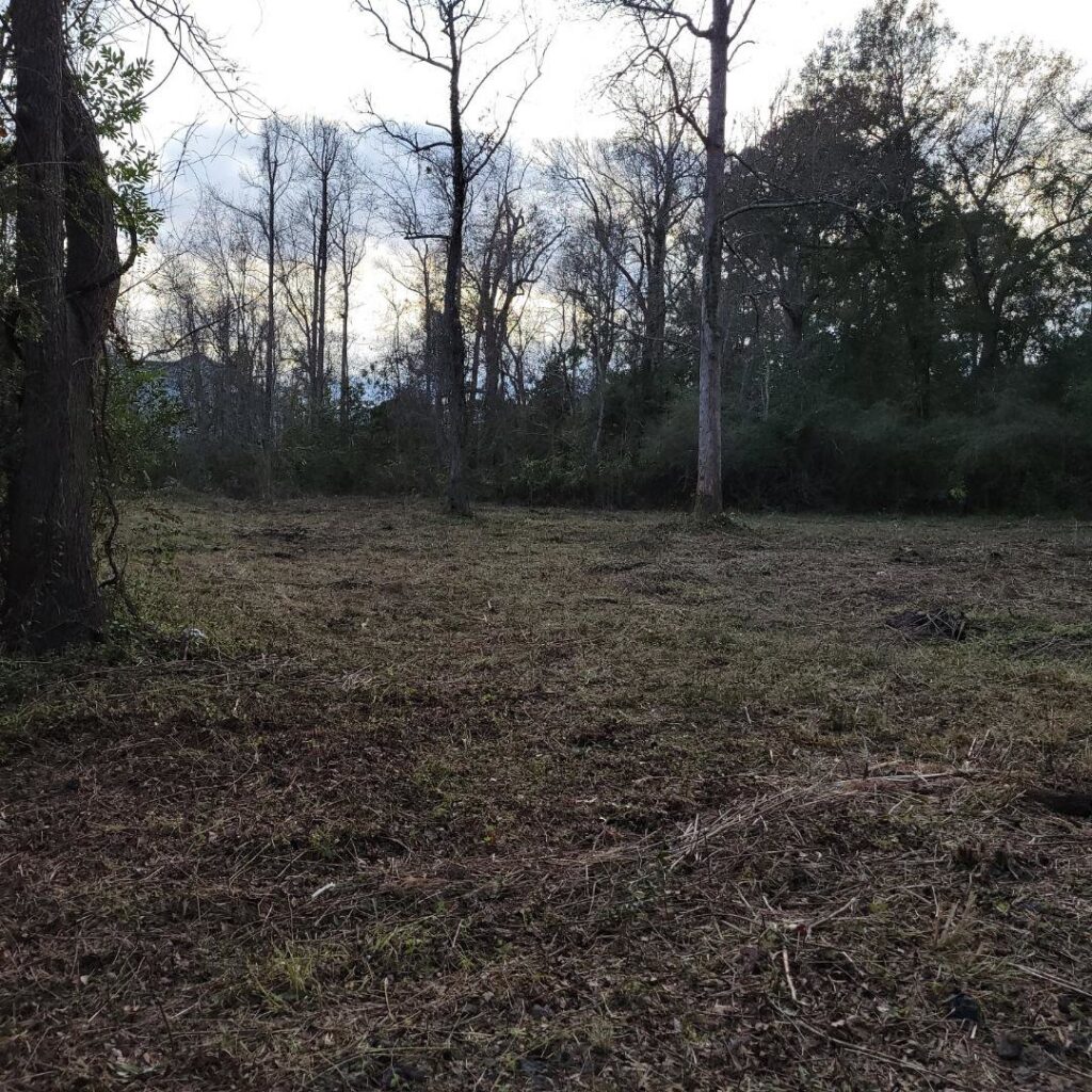 A recently cleared lot with visible tree stumps by Stewart Tree Service in Mount Pleasant, SC.