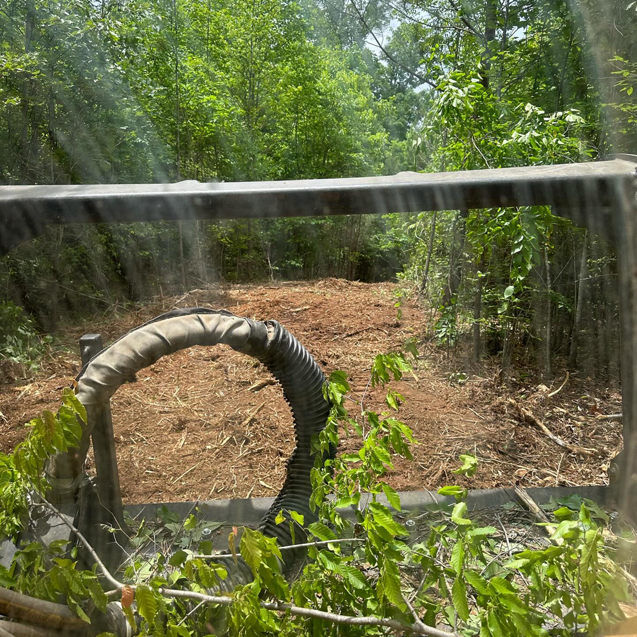 A newly cleared path through dense woods, demonstrating land management by Mighty Mouse Services in Winston-Salem, NC.