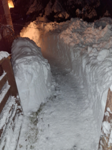 A clearly shoveled snow path at night, demonstrating snow removal services by Palma Construction in Paramus, NJ.