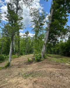 Recently cleared wooded land, showcasing site preparation services by Mighty Mouse Services in Winston-Salem, NC.