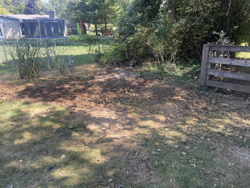 A clean, cleared yard area after comprehensive junk removal services by JOLTZ Junk Removal in Dayton, OH.