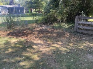 A clean, cleared yard area after comprehensive junk removal services by JOLTZ Junk Removal in Dayton, OH.