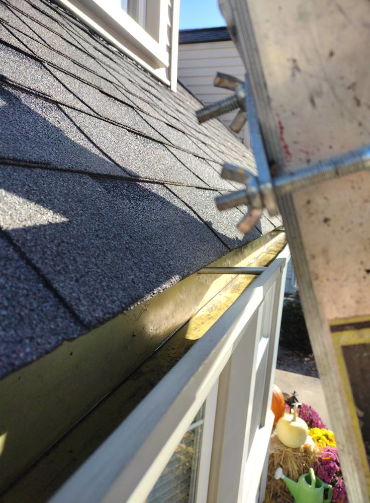 A clogged house gutter seen from a ladder, indicating a need for professional cleaning services from Schu Can Do 2-Property Services LLC in Warren, MI.