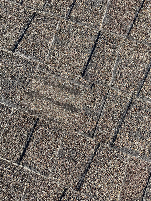 A very close-up view of a damaged asphalt roof shingle, highlighting a repair need for Dan's "Do it All" Handyman Services in Reno, NV.