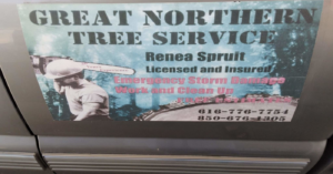 A close-up view of a tree trunk showing a clean, circular cut from a removed branch, indicating professional tree pruning by Great Northern Tree Service in Grand Rapids, MI