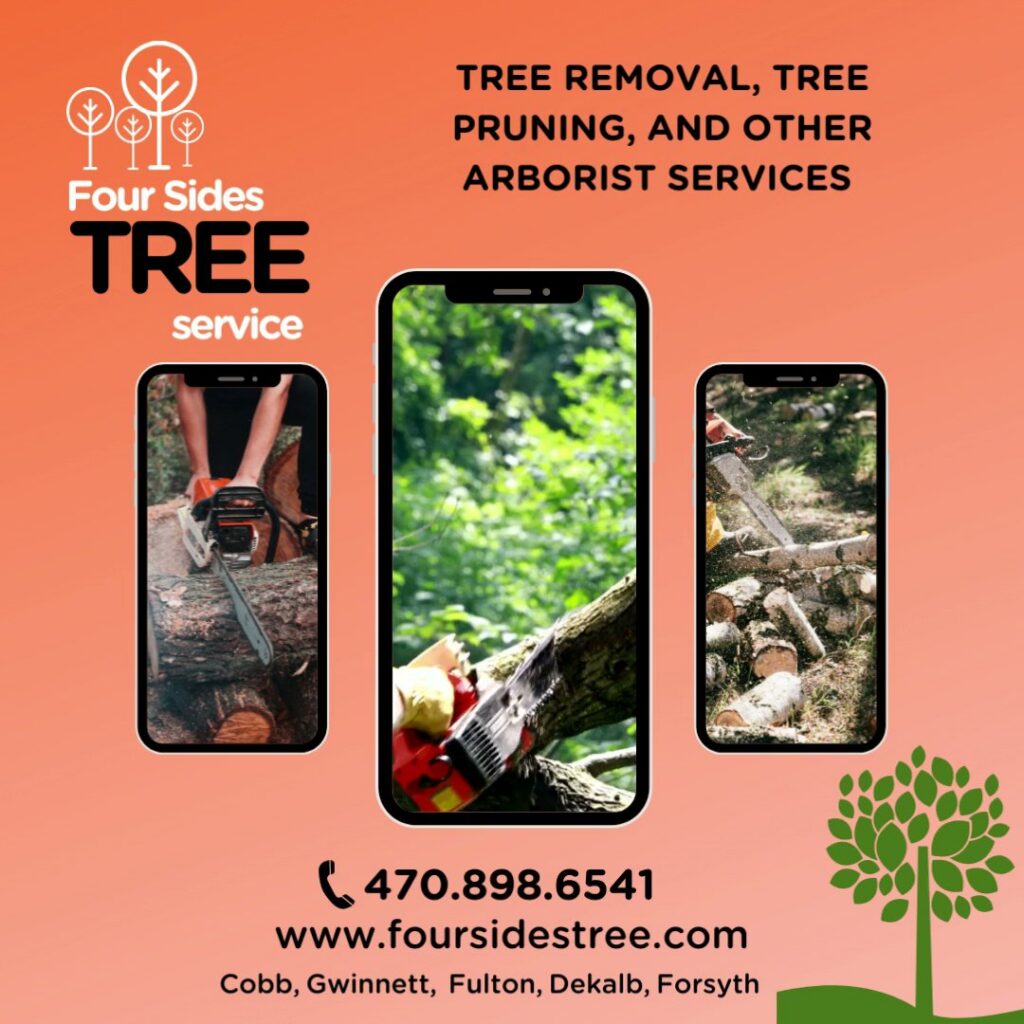 A close-up shot of pruning shears cutting a tree branch, demonstrating professional tree pruning service by Four Sides Tree in Atlanta, GA.