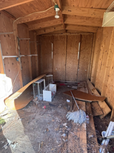 The cluttered interior of a shed filled with debris and old items, ready for junk removal by Nash's Cargo Company LLC in Shreveport, LA.