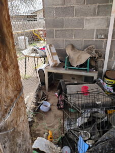A cluttered outdoor area with various items and a dog crate, indicating a junk removal or yard cleanout job by Discount Hauling in Las Cruces, NM.
