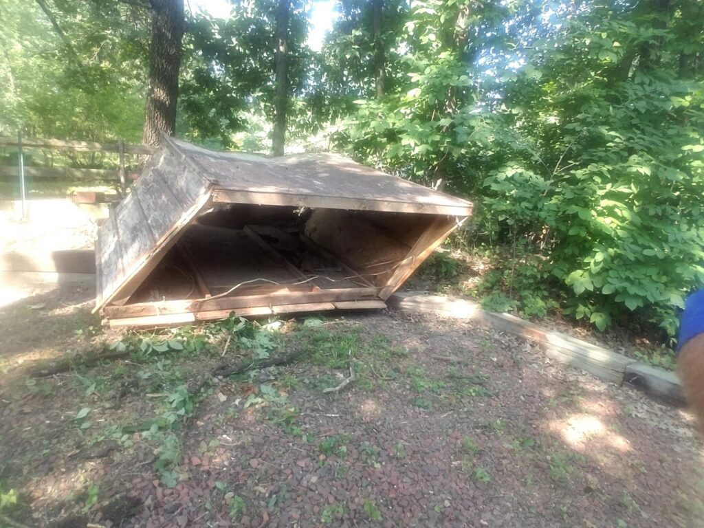 A partially collapsed wooden shed or outbuilding, indicating a demolition and removal job by Kaveman Hauling LLC in Ankeny, IA.