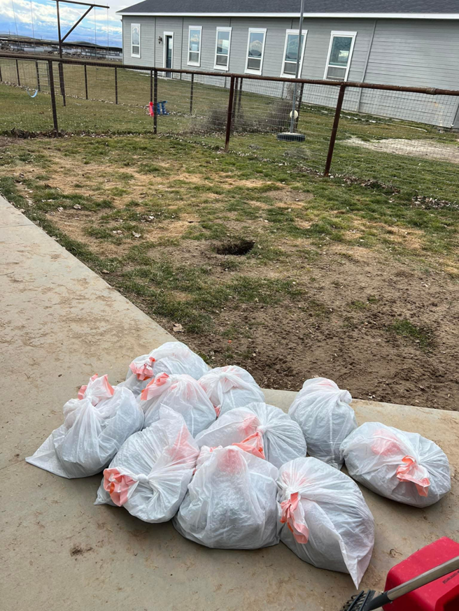 A pile of white bags filled with collected pet waste on a patio, ready for removal by Dookie Duty in Appleton, WI.