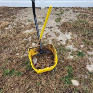 A yellow scoop filled with collected pet waste and dirt from a cleanup service by Slinging Scoops Co. in Chesapeake, VA.