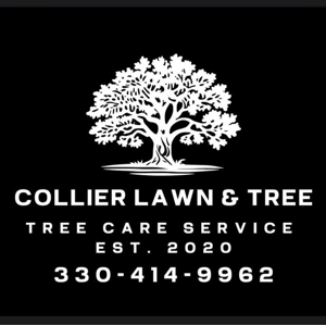 Collier Lawn & Tree