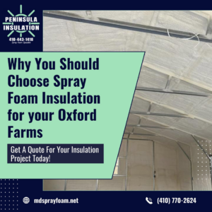 Commercial building spray foam insulation being installed by Peninsula Insulation, LLC in Easton, MD.