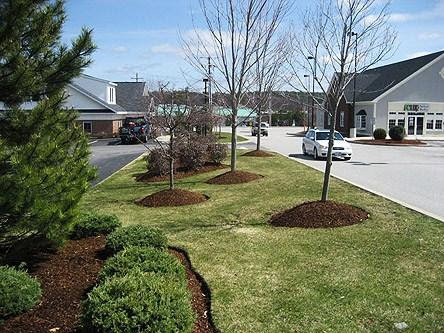 Commercial landscaping with trees, shrubs, and mulch beds maintained by Chicago Service Source Inc in Chicago, IL
