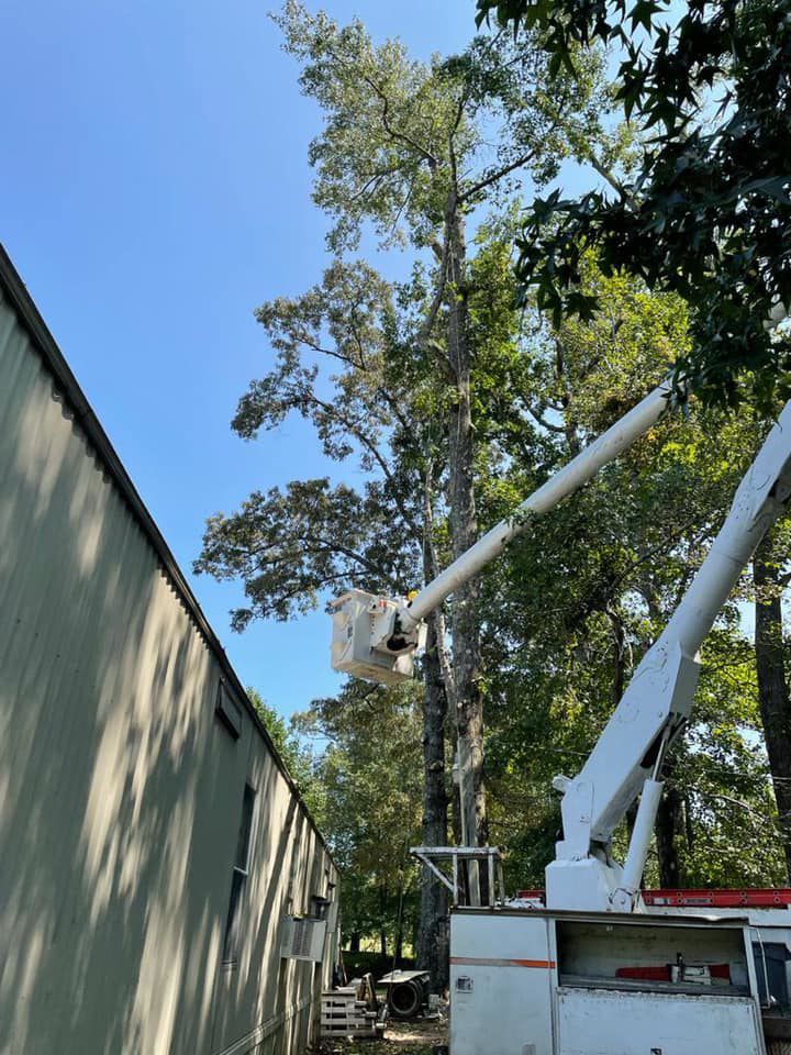 A bucket truck performing tree trimming services next to a commercial building by Emerald Tree Services in Alabaster, AL