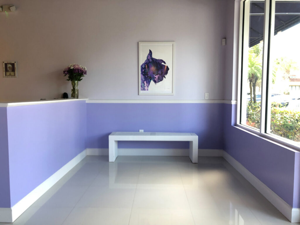 A newly renovated commercial waiting room with purple walls and white trim by Florida Palm Construction, Inc. in Davie, FL