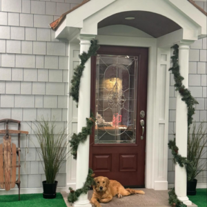 A beautifully completed exterior renovation featuring new siding, front door, and trim by Burr Roofing, Siding, & Windows in Stratford, CT