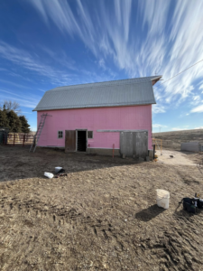 A completed pink barn with new metal roofing and exterior painting by CJP Construction handyman services in Pierce, NE.