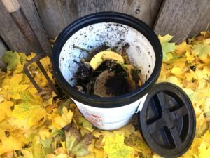 An open compost bucket filled with organic waste and food scraps, ready for collection by Soil Cycle in Missoula, MT.