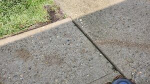 A concrete walkway with small, filled drill holes, indicating a completed concrete leveling service by A1 Concrete Leveling Cincinnati/NKY in Cincinnati, OH.