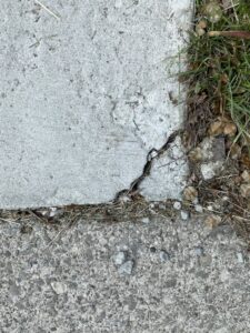 A close-up of a cracked concrete slab, indicating a need for repair services from concrete poured & installed - cp&i in Buffalo, NY.