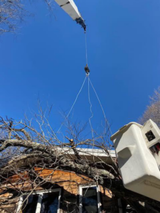 A crane and bucket lift positioned over a house for safe tree removal or trimming by D.J. Tree Service in Evansville, IN.