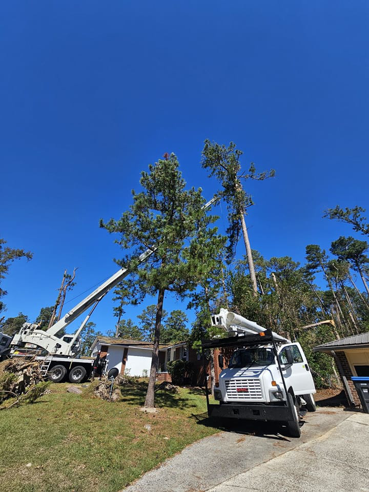A crane and bucket truck assisting with tree removal services by Apex Tree Service, LLC in Huntsville, AL.