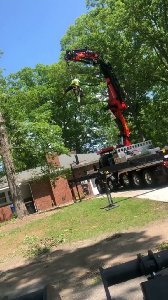 A crane assisting with tree removal, lifting a worker high into a tree, performed by J&J's Tree & Lawn in Portsmouth, VA.