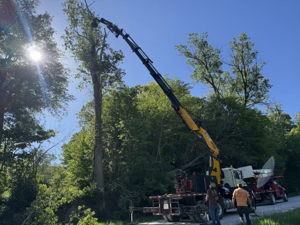 A crane-assisted tree removal operation in progress by JOCO Services LLC in Council Bluffs, IA.