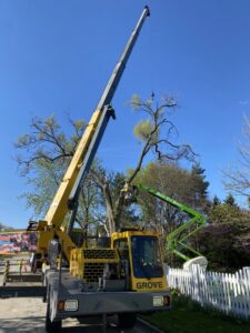A large crane and green boom lift working together on a complex tree removal project by Skyline Tree Service and Landscaping Inc. in Saint Charles, IL.