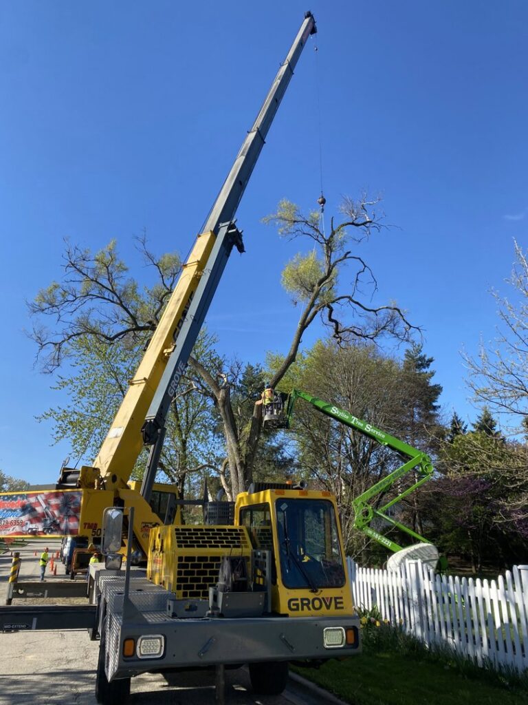 A large crane and green boom lift working together on a complex tree removal project by Skyline Tree Service and Landscaping Inc. in Saint Charles, IL.