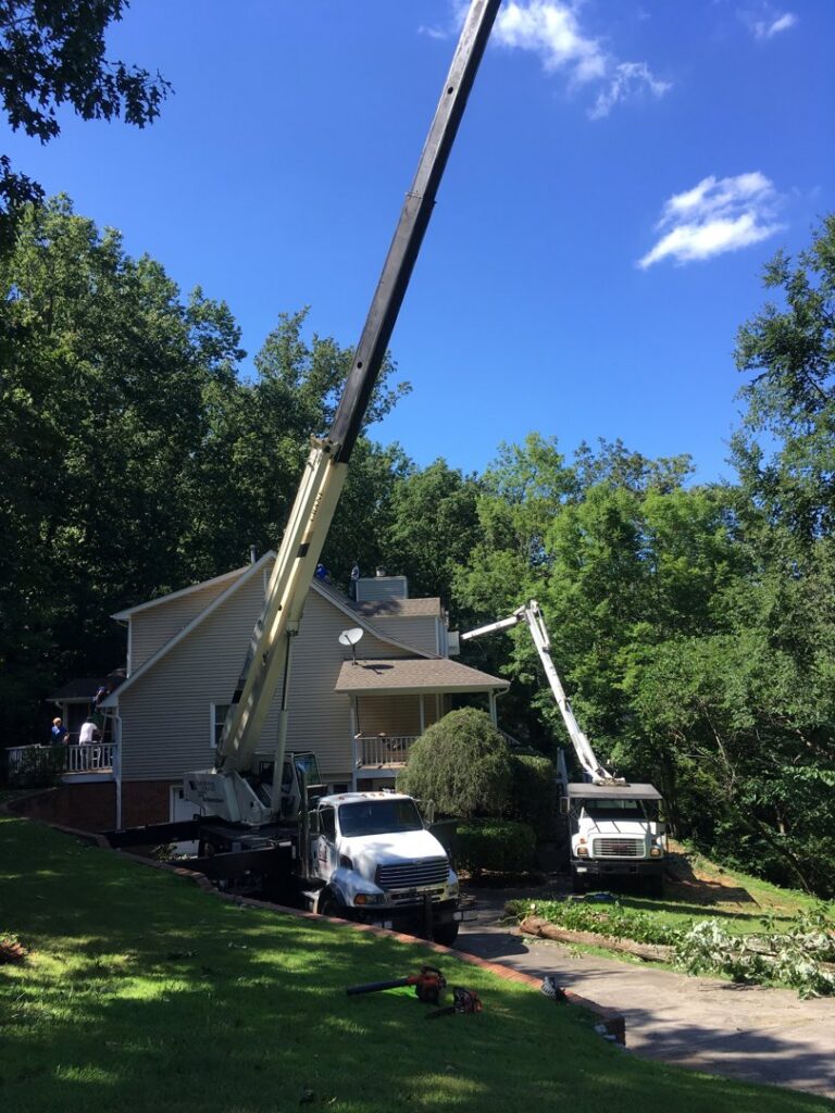 Crane trucks and a bucket truck performing tree work near a residential house by Jon's Tree Service in Pelham, AL.
