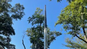 A large crane boom extended high into the trees for tree removal services by Absolute Tree, Inc. in Alexandria, VA.