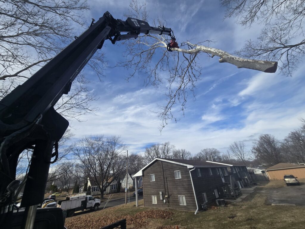 A crane with a grapple saw attachment removing a large tree branch during a tree service job by Aim To Tame in Peoria, IL.