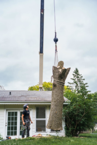 A tree worker watches as a crane lifts a large tree trunk during a removal operation by Canopy Cops Tree Service LLC in Appleton, WI.