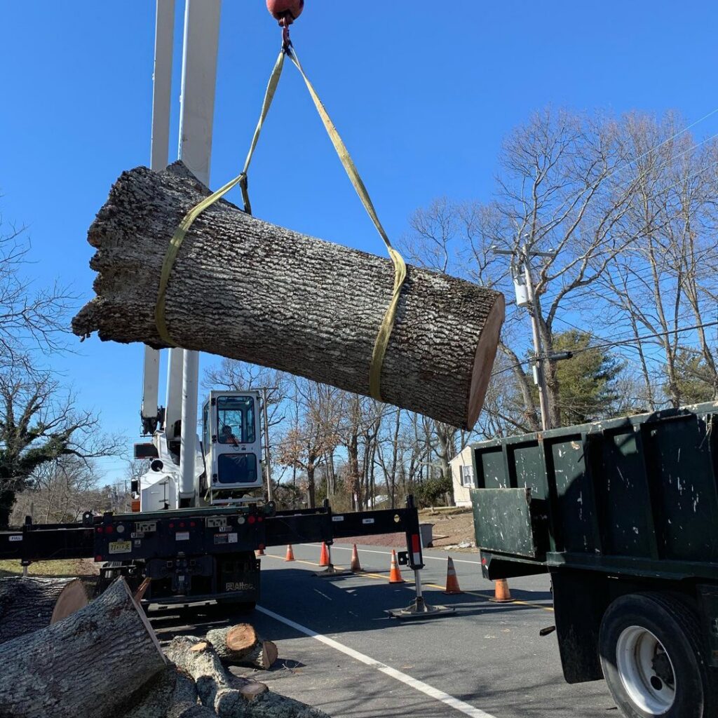 A crane lifting a large tree trunk over a street during a tree removal project by Toms River Tree Service, LLC in Toms River, NJ.