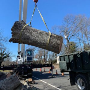 A crane lifting a large tree trunk over a street during a tree removal project by Toms River Tree Service, LLC in Toms River, NJ.