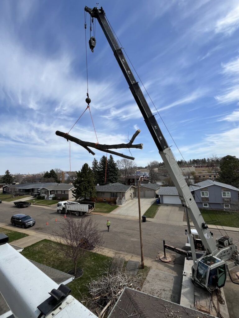 A large crane carefully lifting a cut tree branch over a residential neighborhood, performed by Affordable Tree Service in Dickinson, ND.