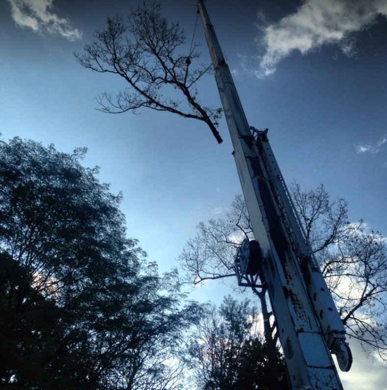 A crane lifting a large tree branch during tree removal services by Duffy's Tree Service in Pittsburgh, PA