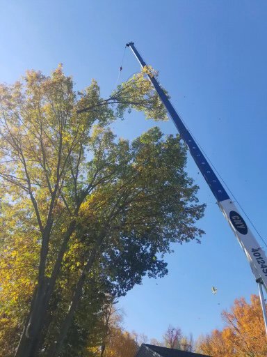 A large crane lifting a heavy tree branch during a tree removal job by L. Moore Tree Service in Auburn, NY.