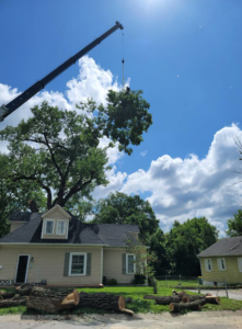 A crane lifting a large tree branch over a house with cut logs on the ground by Perez Landscape and Tree Services in Kansas City, MO.