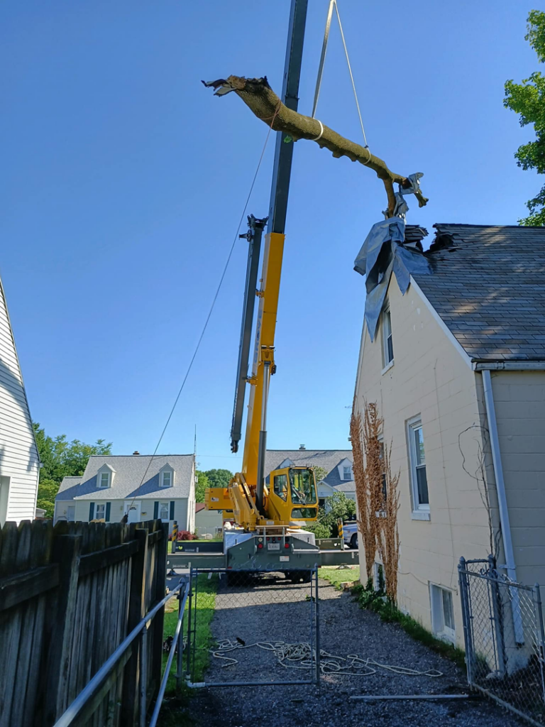 A large yellow crane lifting a heavy tree branch over a residential roof during tree removal by All Branched Out Tree Experts in Walkersville, MD.