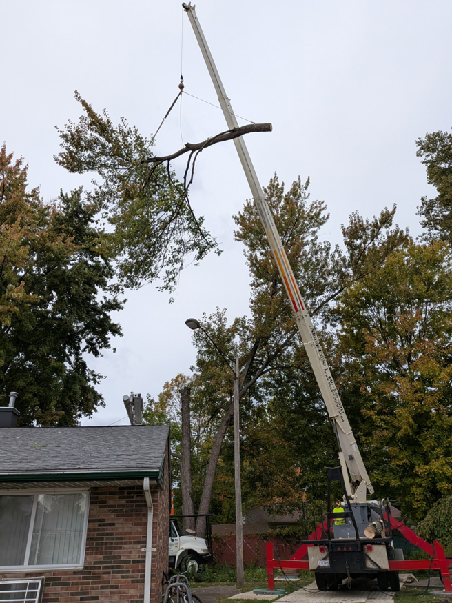 A crane operated by Sharp Edge Tree & Landscape carefully lifting a large tree branch over a residential roof in Cleveland, OH.